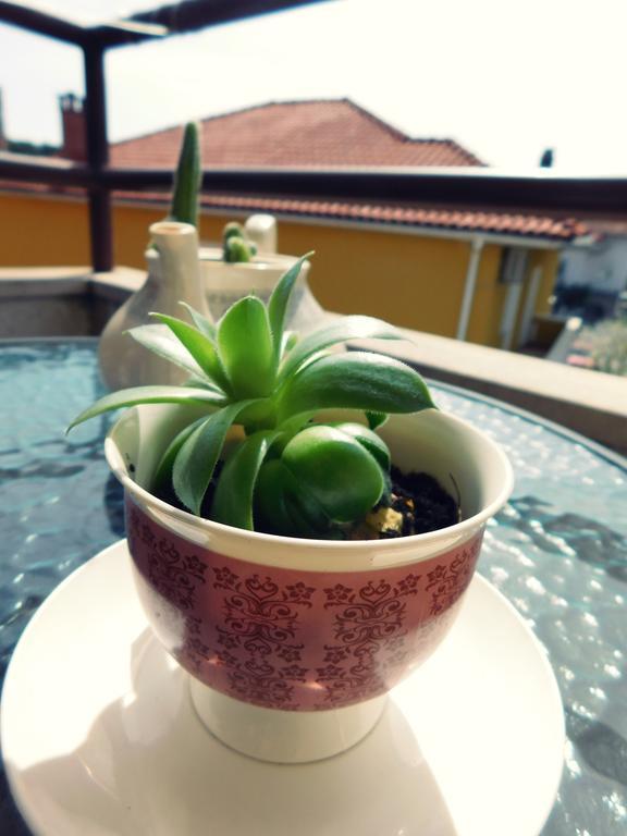 Luciana Apartment Задар Екстериор снимка