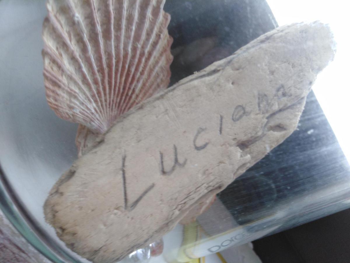 Luciana Apartment Задар Екстериор снимка